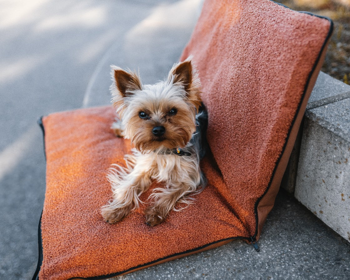 88786a833ac64b11ff8115ad8414a465