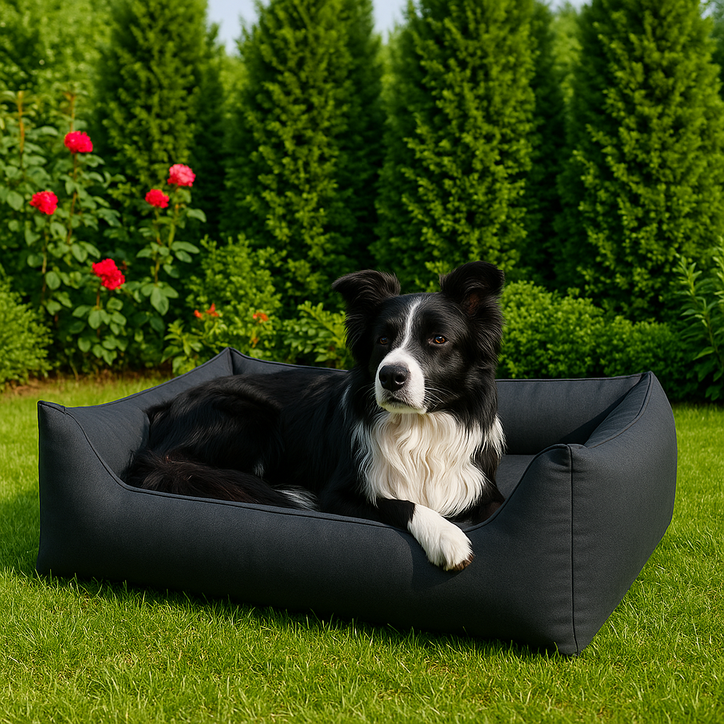 Comfort for Home, Garden & Travel — Coming Soon