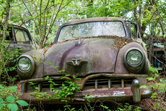 Don’t Let the Seasons Decide How Your Car Looks