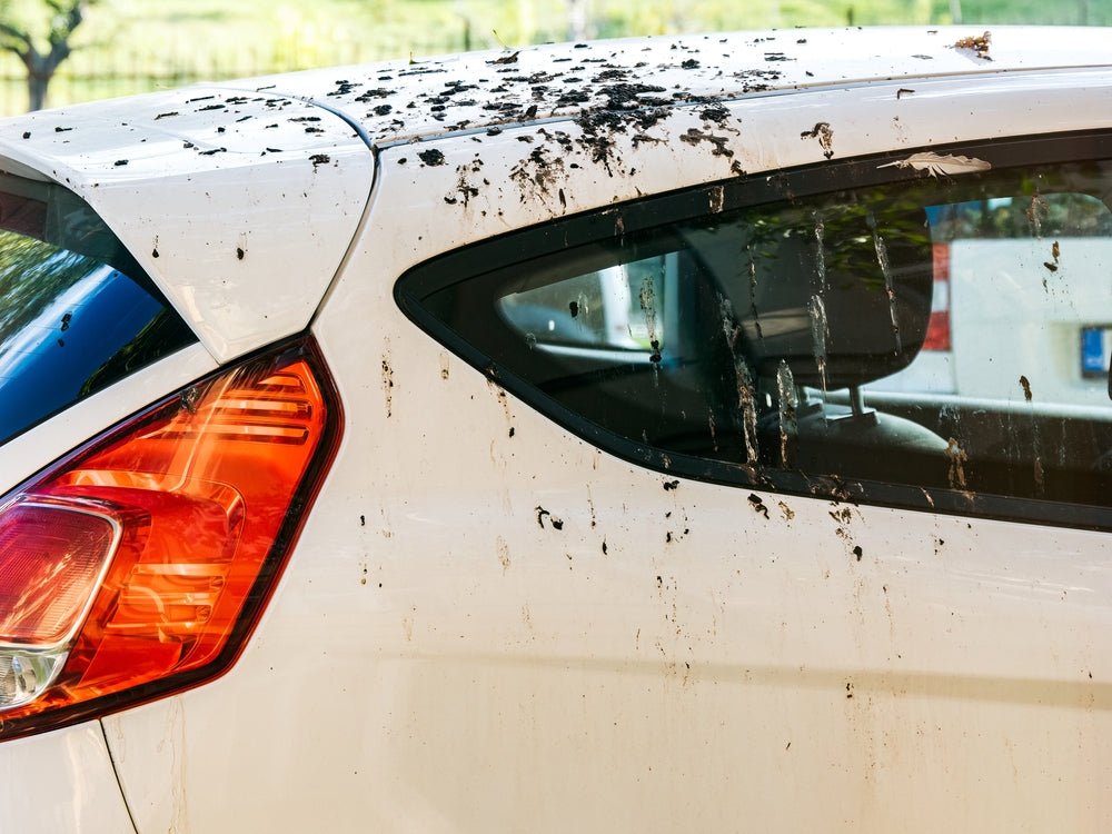 Cleaning and Maintaining Your Car Cover for Longer Life