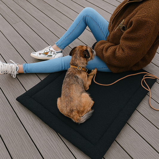 Travel changes everything — even for our pets.