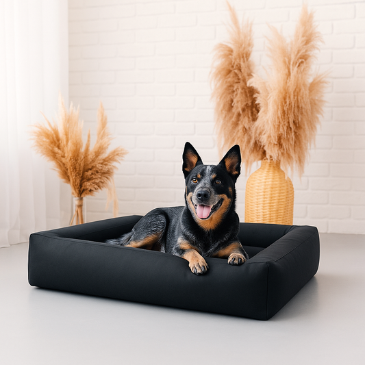 Comfort isn’t something pets ask for with words.