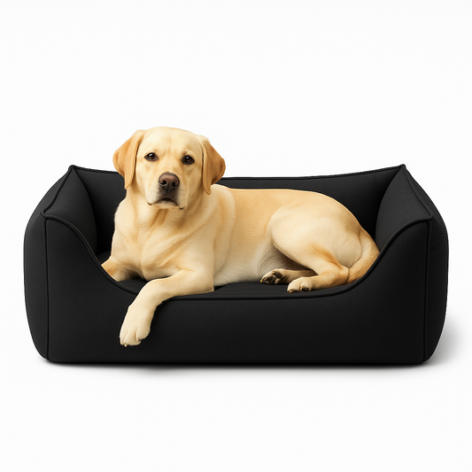 e9665b6d62a9d69ffb28fda277888404