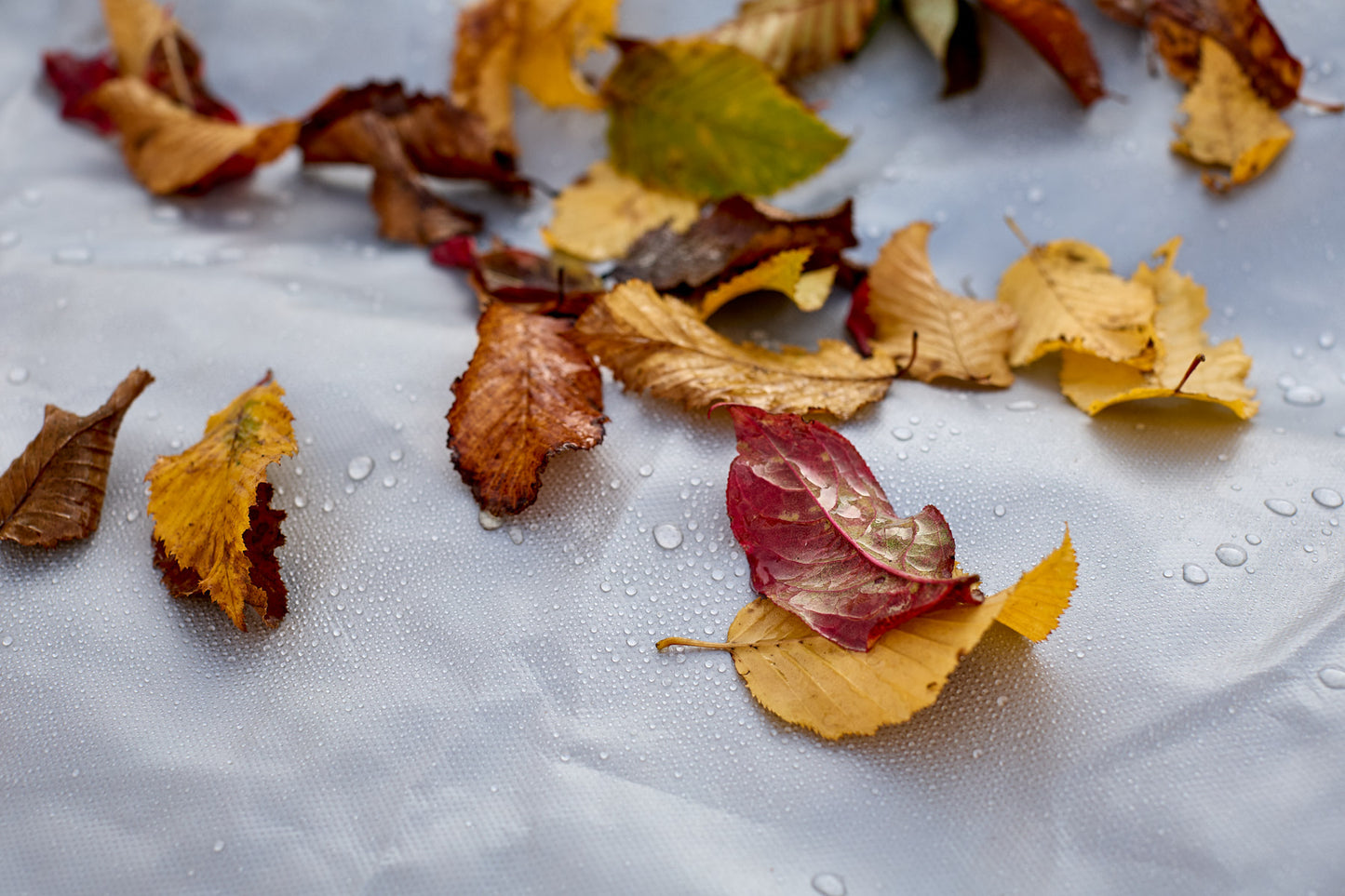 e6532320a8297760ad9f15b538e4b9c9