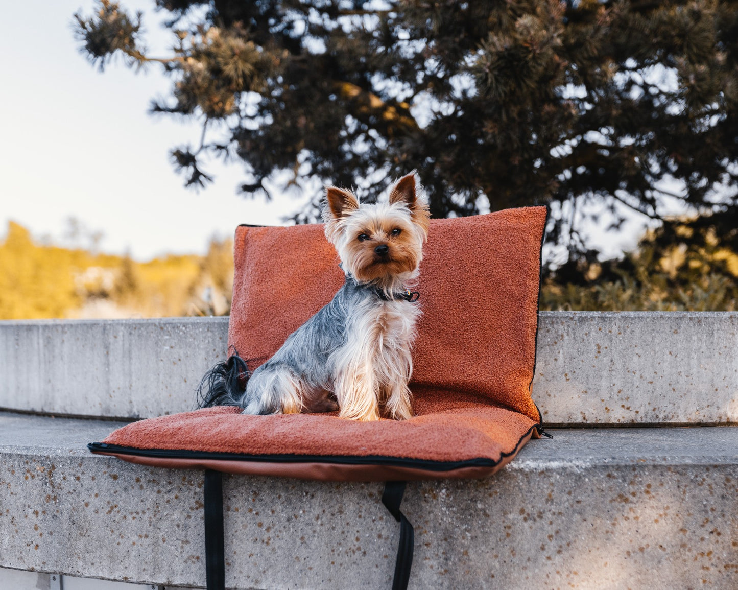 28f3c9754c739bbb41ecf3200917e164