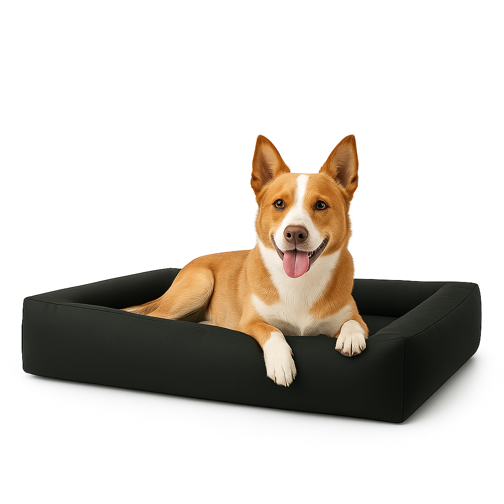 550e2cbda5cb4327deb2fe6719fd6259