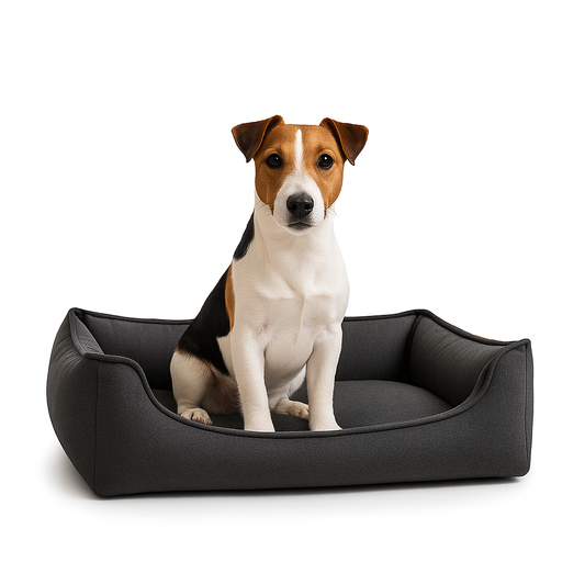 606f7c09ff187d543d63d6e9d9e41d49