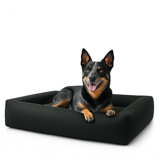 840cc8fe8d9b5fb05522584b3aa524c3