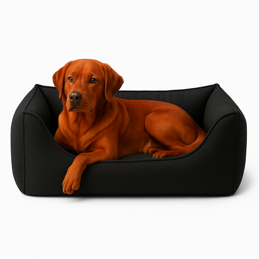 12cf278b9a6b4c0a7d0a6d06a9eec9c0