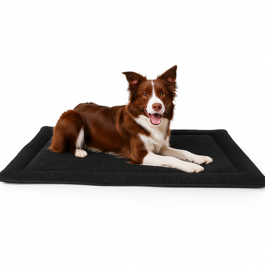 727ad8a962a54cf1fefe68bbc7aeb093