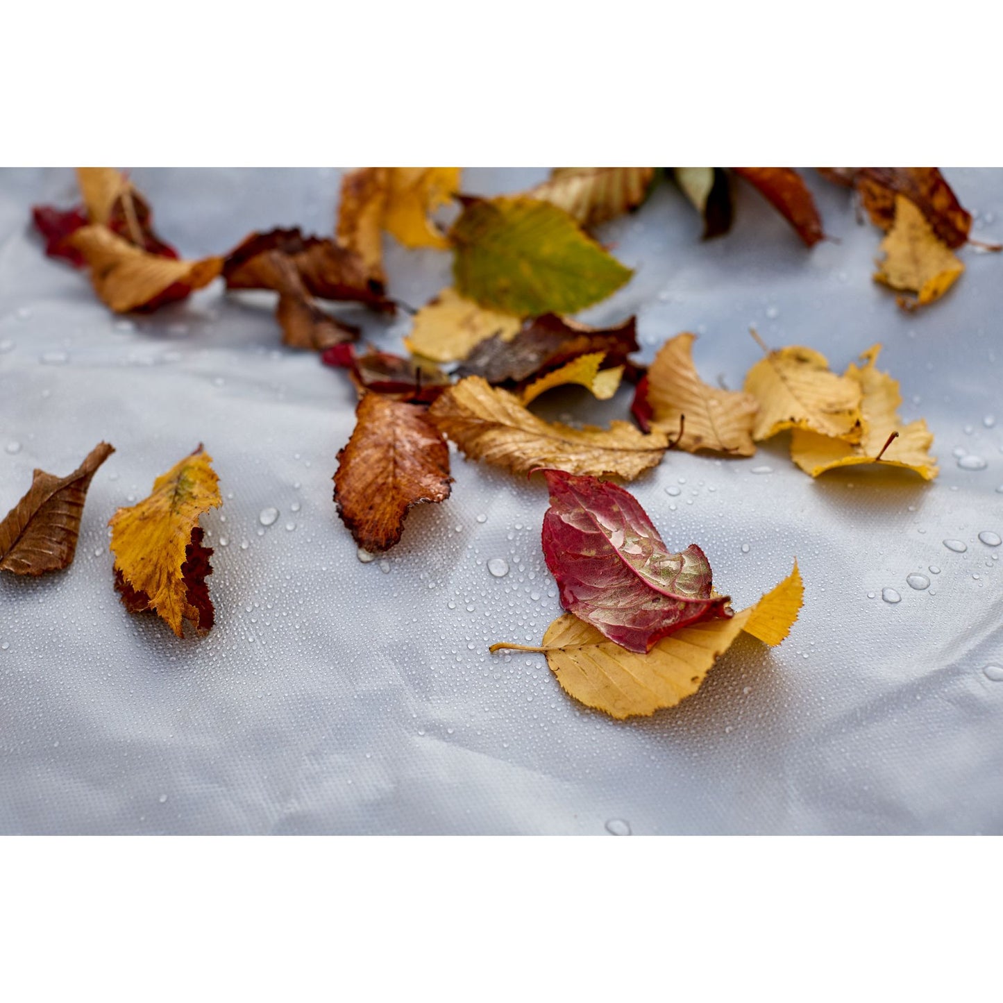 586a0700cd8bf63e8f9748d5516f1da4